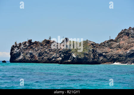 Boscose pendici del isola Floreana, verde nella stagione delle piogge, Isole Galapagos National Park, isola Floreana, Ecuador Foto Stock