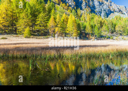 Alpe Devero autunno paesaggio di montagna Foto Stock