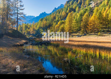 Alpe Devero autunno paesaggio di montagna Foto Stock