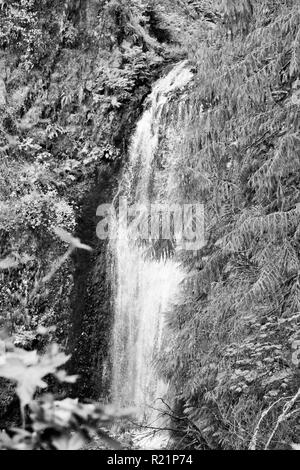 Cascate Multnomah, Oregon in bianco e nero Foto Stock