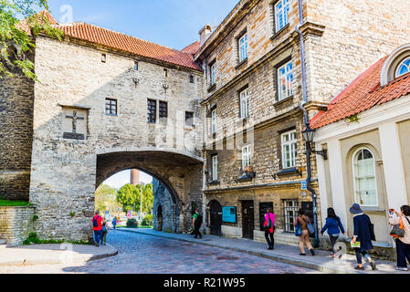 La facciata della Estone museo marittimo e il grande cancello costiere. Tallinn, Harju County, Estonia, paesi baltici, Europa. Foto Stock