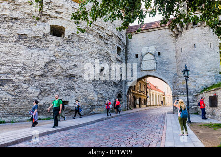 Grande cancello costiere e Fat Margaret torre. Tallinn, Harju County, Estonia, paesi baltici, Europa. Foto Stock