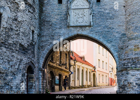 Grande cancello costiere e Fat Margaret torre. Tallinn, Harju County, Estonia, paesi baltici, Europa. Foto Stock