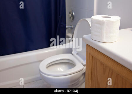 In un bagno a fianco della doccia e del lavandino e servizi igienici e un  rotolo di carta igienica sit Foto stock - Alamy