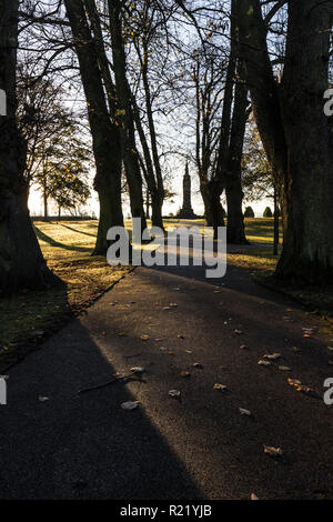 Lunghe ombre proiettate da alberi di prima mattina la luce. Wallace Monument a fine percorso in Giardini di Castello, Lisburn, N.Irlanda. Foto Stock