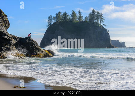 Visualizzazione della Pacific Ocean Waves tra pile di mare sulla spiaggia di Rialto nel Parco Nazionale di Olympic Foto Stock