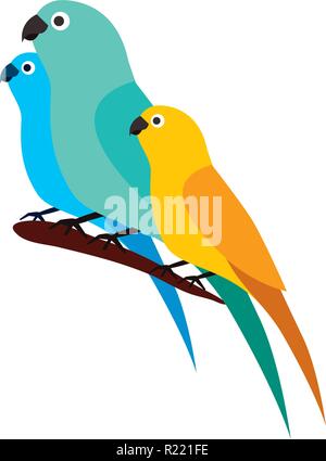Isole Canarie e pappagalli uccelli sul ramo illustrazione vettoriale Illustrazione Vettoriale