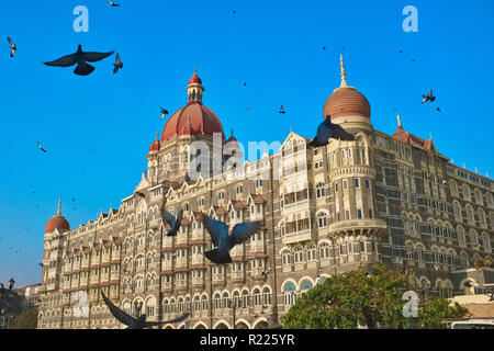 Il Taj Mahal Palace Hotel di Mumbai, in India, il bersaglio di un attacco terroristico nel 2008, circondato da un branco di piccioni Foto Stock