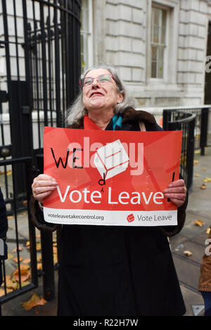 A Downing Street, Londra, Regno Unito. Il 16 novembre 2018. Il UKIP MEP Patrick O'Flynn che protestavano davanti a Downing Street contro Theresa Maggio Brexit della trattativa. Credito: Matteo Chattle/Alamy Live News Foto Stock