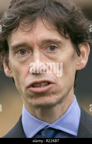 Londra REGNO UNITO. Il 16 novembre 2018. Rory Stewart, ministro di Stato per le carceri, a Westminster è intervistato dai media circa il Brexit Progetto di accordo Credito: amer ghazzal/Alamy Live News Foto Stock
