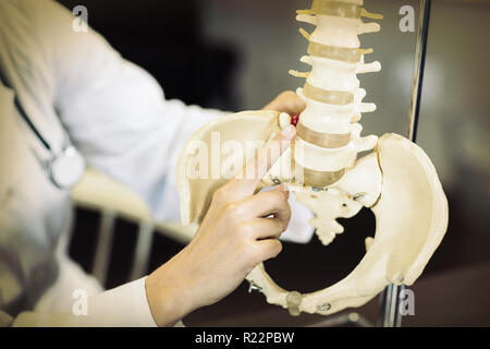 Fisioterapista tenendo un modello della colonna vertebrale Foto Stock