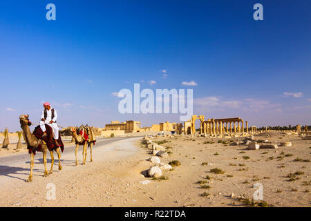 Palmyra, Homs Governatorato, Siria - Maggio 26th, 2009 : un uomo beduino corse di cammelli attraverso il sito archeologico di Palmyra. Arco monumentale e Temp Foto Stock