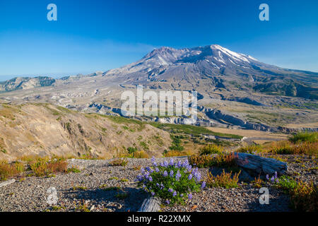Il vulcano Mount Saint Helens in Washington, Stati Uniti d'America Foto Stock