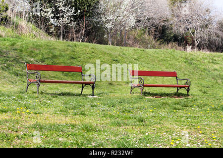 Due red panca di legno in un bellissimo ambiente naturale, erba e fiori di primavera / panche in parco pubblico a primavera giornata di sole / Campo panche. Foto Stock