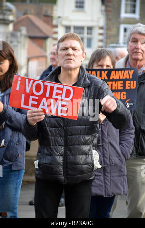 Regno Unito Unity "riprendere il controllo' pro-Brexit protesta. Norwich contro i fascisti hanno organizzato un grande bancone-dimostrazione. Norwich, Regno Unito 10 novembre 2018 Foto Stock