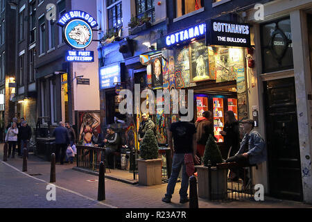 La Bulldog è un Amsterdam basata sulla società che possiede e gestisce una catena di cannabis coffee shops. Foto Stock