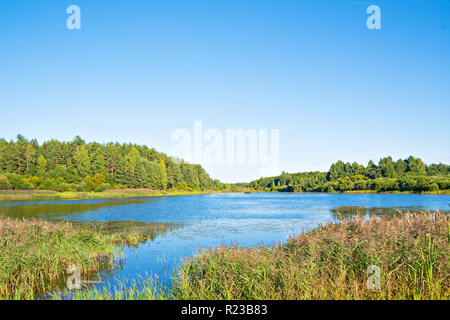 Bellissimo paesaggio con il legno, il lago e il rivolo in Pushkin colline, Pskov Regione, Russia Foto Stock