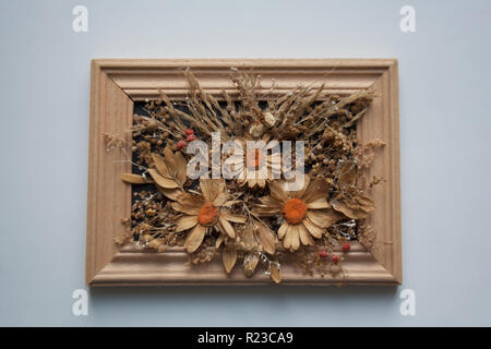 Asciugare i fiori e le erbe in un erbario composizione all'interno del telaio di legno isolato su sfondo bianco Foto Stock