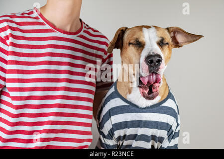Funny sbadigli cane e proprietario in vestiti simili. Assonnato mattina idea: puppy e umano nella stessa t-shirt in sfondo per studio Foto Stock