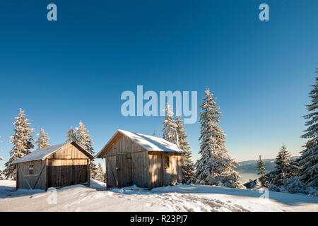 Favola invernale paesaggio soleggiato. Due weathered pastore in legno capanne sulla montagna di clearing innevate tra alberi di pino su brightl blue sky copyspace backgr Foto Stock