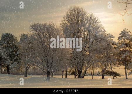 La neve che cade su di un paesaggio invernale. Foto Stock