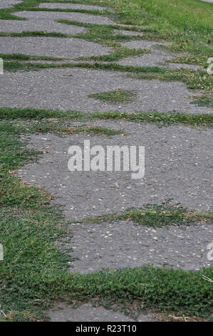 Sfondo verticale con il vecchio asfalto irregolare di cemento e il verde erba che cresce su di esso. Foto Stock