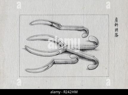 Il forcipe. 1878. Giapponese disegno a inchiostro Foto Stock