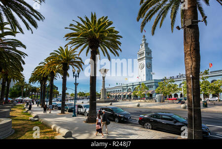 Ferry Building e palme, San Francisco, California, Stati Uniti d'America, America del Nord Foto Stock