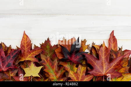 Autunno sfondo. Telaio di colorati cadono le foglie di colore bianco sulla scrivania in legno. Foto Stock