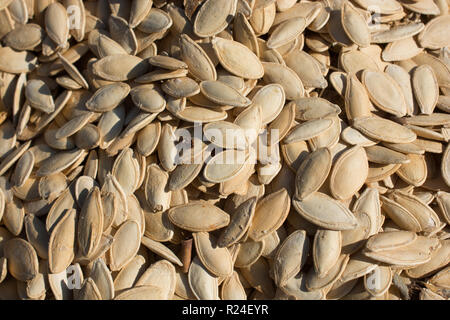 Quantità abbondante di sgranati Semi di zucca nella vista Foto Stock