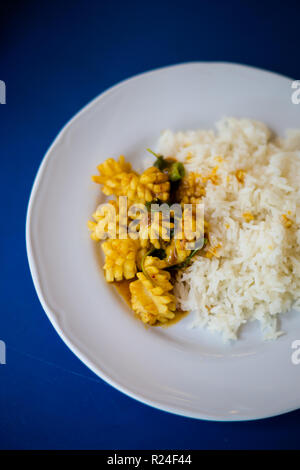 Preparati freschi asiatici essiccato piccante calamari al curry servita con riso al gelsomino in ristorante locale a Bangkok. Cucina tailandese tradizionale fatta di ingredien fresco Foto Stock