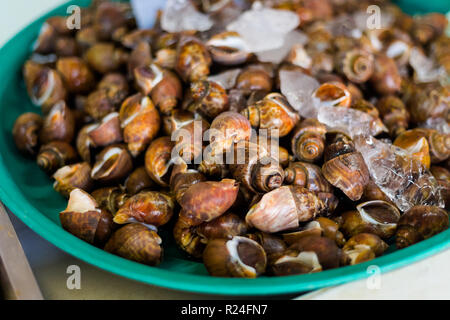 Crudo fresco cozze asiatici in gusci sul mercato locale a Krabi town. Cucina tailandese tradizionale fatta di ingredienti freschi. Foto Stock