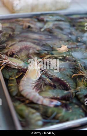 Thai gamberi greggio sul mercato locale in Krabi. Il modo tradizionale di vendita di pesce fresco nel sud est asiatico. Foto Stock