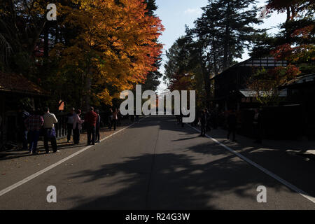 Lungo la strada Bukeyashiki in Kakunodate, Giappone all'altezza di caduta del colore. Guardando verso il basso dal centro della strada. Foto Stock