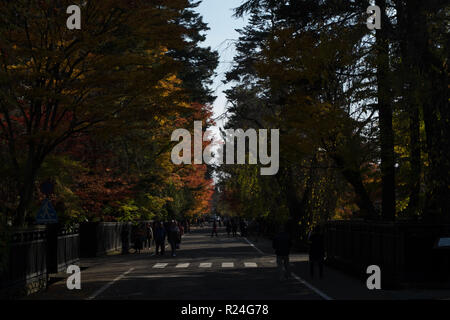 Lungo la strada Bukeyashiki in Kakunodate, Giappone all'altezza di caduta del colore. Guardando verso il basso dal centro della strada. Foto Stock