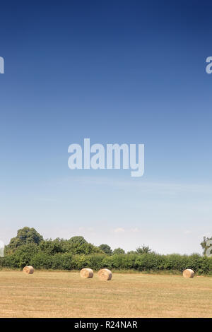 Paesaggio immagini prese da una passeggiata intorno all'isola di east mersea in Essex, Inghilterra Foto Stock