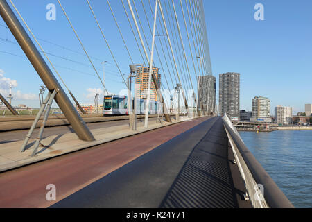 Sul ponte di Erasmus di Rotterdam, Paesi Bassi Foto Stock