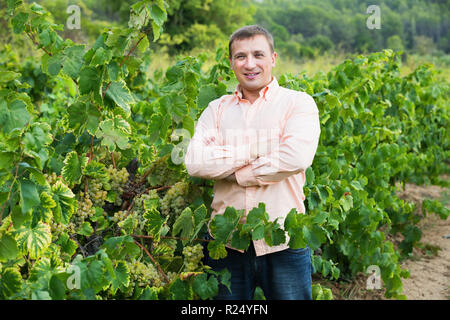 Giovane agricoltore in piedi vicino a uva da vino e foglie in giorno di estate Foto Stock