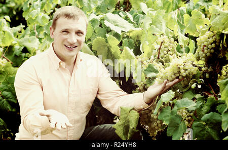 Ritratto di Allegro uomo nei pressi di uve in vigna in estate Foto Stock