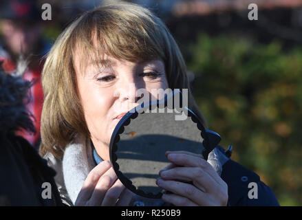 16 novembre 2018, Meclemburgo-Pomerania, Groß Toitin: L'attrice Katrin Sass come ex procuratore Karin Lossow, prese a scattare una foto per il nuovo 'Usedom-Krimi' (ARD) con il titolo del lavoro 'Träume'. L episodio è pianificato per essere eseguito su ARD in autunno 2019. Foto: Stefan Sauer/dpa Foto Stock