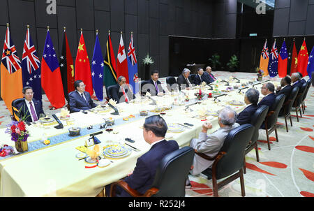 (181116) -- PORT MORESBY, nov. 16, 2018 (Xinhua) -- Il presidente cinese Xi Jinping ospita un incontro collettivo con la Papua Nuova Guinea il Primo Ministro Peter O'Neill, Presidente Peter Christian degli Stati Federati di Micronesia, Primo Ministro Tuilaepa Malielegaoi di Samoa Vanuatu Il primo ministro Charlot Salwai, Primo Ministro Henry Puna delle Isole Cook, Primo Ministro Samuela Akilisi Pohiva di Tonga, Niue Premier Toke Talagi e Figi rappresentante del governo, il ministro della Difesa Ratu Inoke Kubuabola e fornisce un discorso a Port Moresby, Papua Nuova Guinea, nov. 16, 2018. (Xinhua/Xie Hua Foto Stock