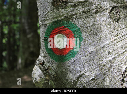 Alpina Slovena rosso e bianco sentiero circolare blaze sull'albero, Alpe Adria Trail, il parco nazionale del Triglav, Slovenia, Europa centrale Foto Stock