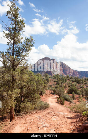 Mountain Biker lungo il sentiero desrt in Sedona in Arizona Foto Stock