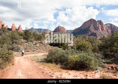 Mountain Biker lungo il sentiero desrt in Sedona in Arizona Foto Stock