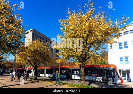 Luce treno Bybanen in Kaigaten, Byparken, nel centro di Bergen, Norvegia. Colori dell'autunno. Municipio edificio in background Foto Stock