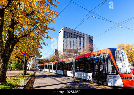 Luce treno Bybanen in Kaigaten, Byparken, nel centro di Bergen, Norvegia. Colori dell'autunno. Municipio edificio in background Foto Stock