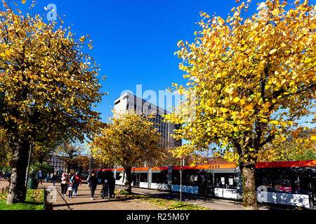 Luce treno Bybanen in Kaigaten, Byparken, nel centro di Bergen, Norvegia. Colori dell'autunno. Municipio edificio in background Foto Stock