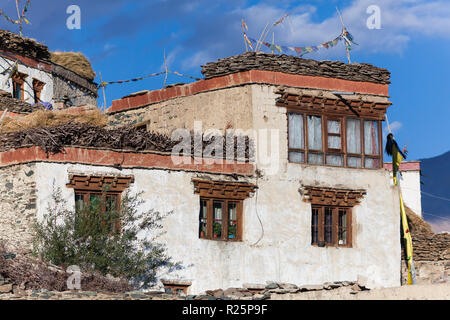 Casa Tradizionale con pile di sterco e legno sul tetto, Karsha, Zanskar, Jammu e Kashmir India Foto Stock