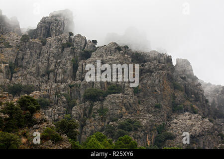 Il massiccio di roccia nella nebbia, Sierra de Grazalema e il parco di natura Park, Sierra de Pinar, Grazalema, Provincia di Cadice, Andalusia, Spagna Foto Stock