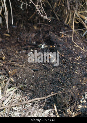 Composto finito nel palo di composto Foto Stock